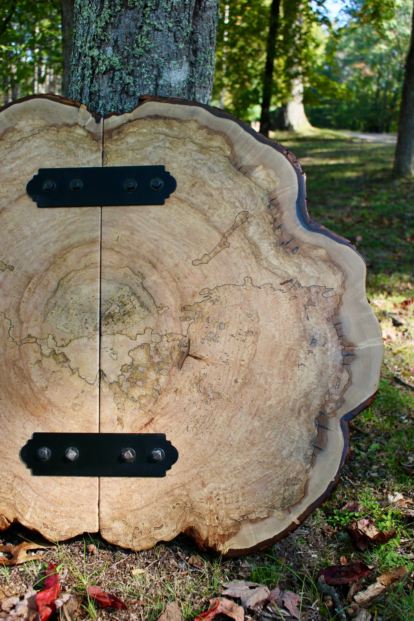 Spalted Maple Cookie Coffee Table