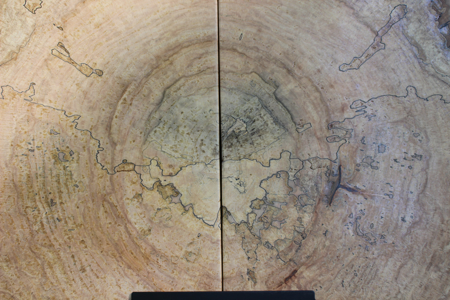 Spalted Maple Cookie Coffee Table