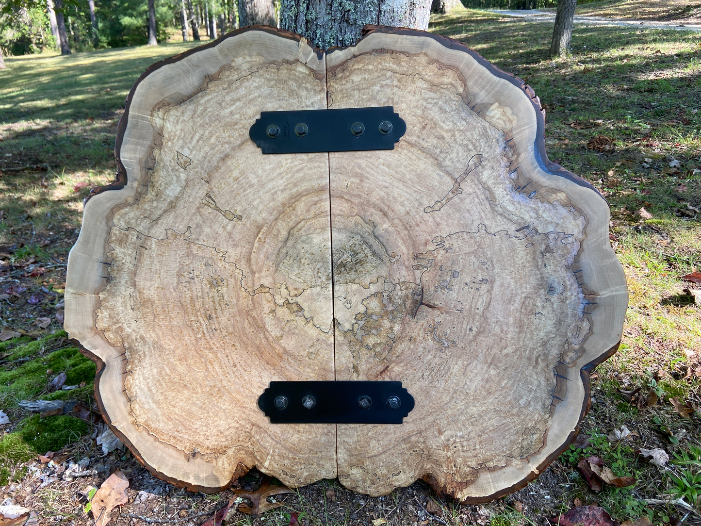 Spalted Maple Cookie Coffee Table