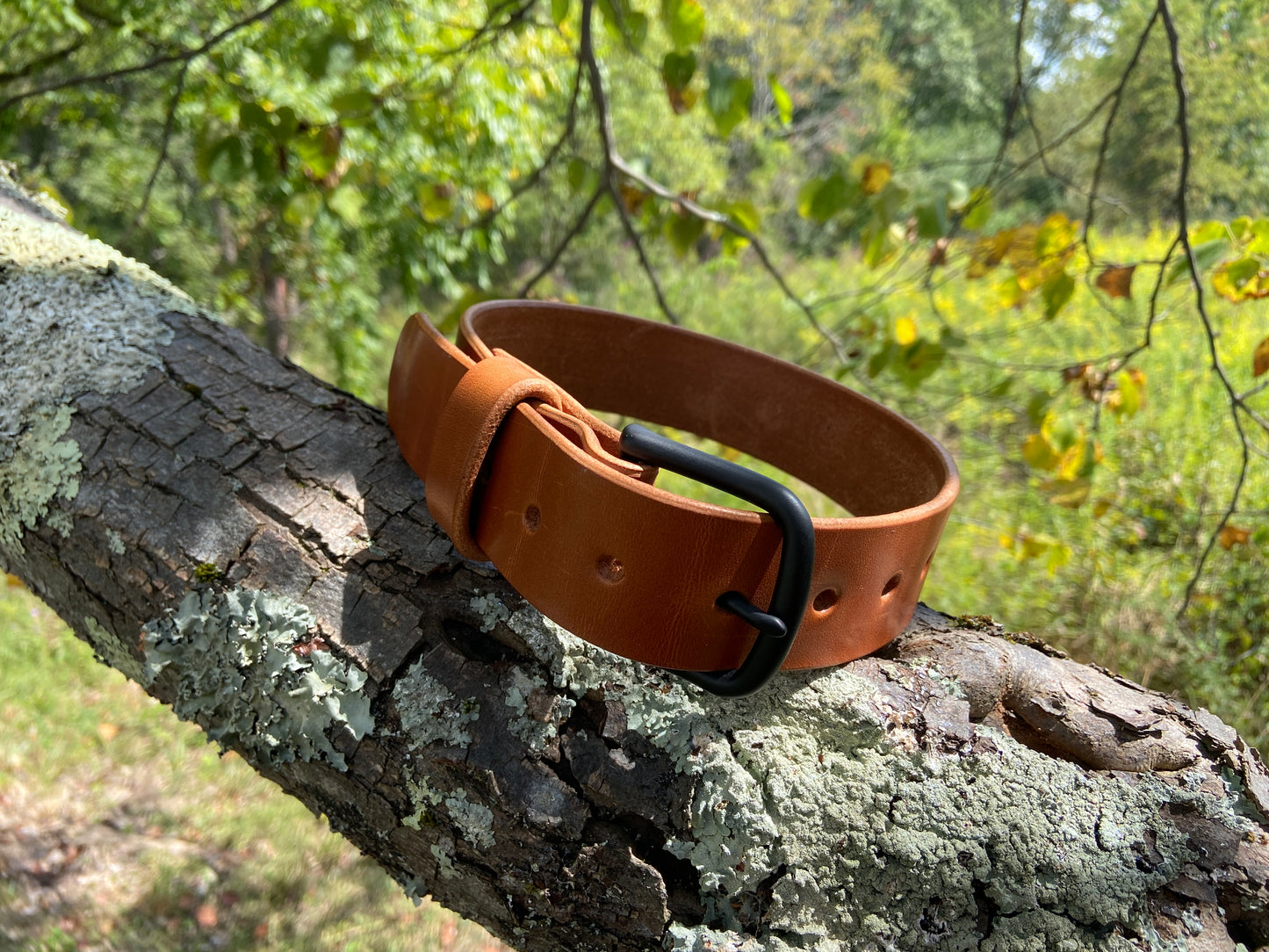 Brown Leather Belt